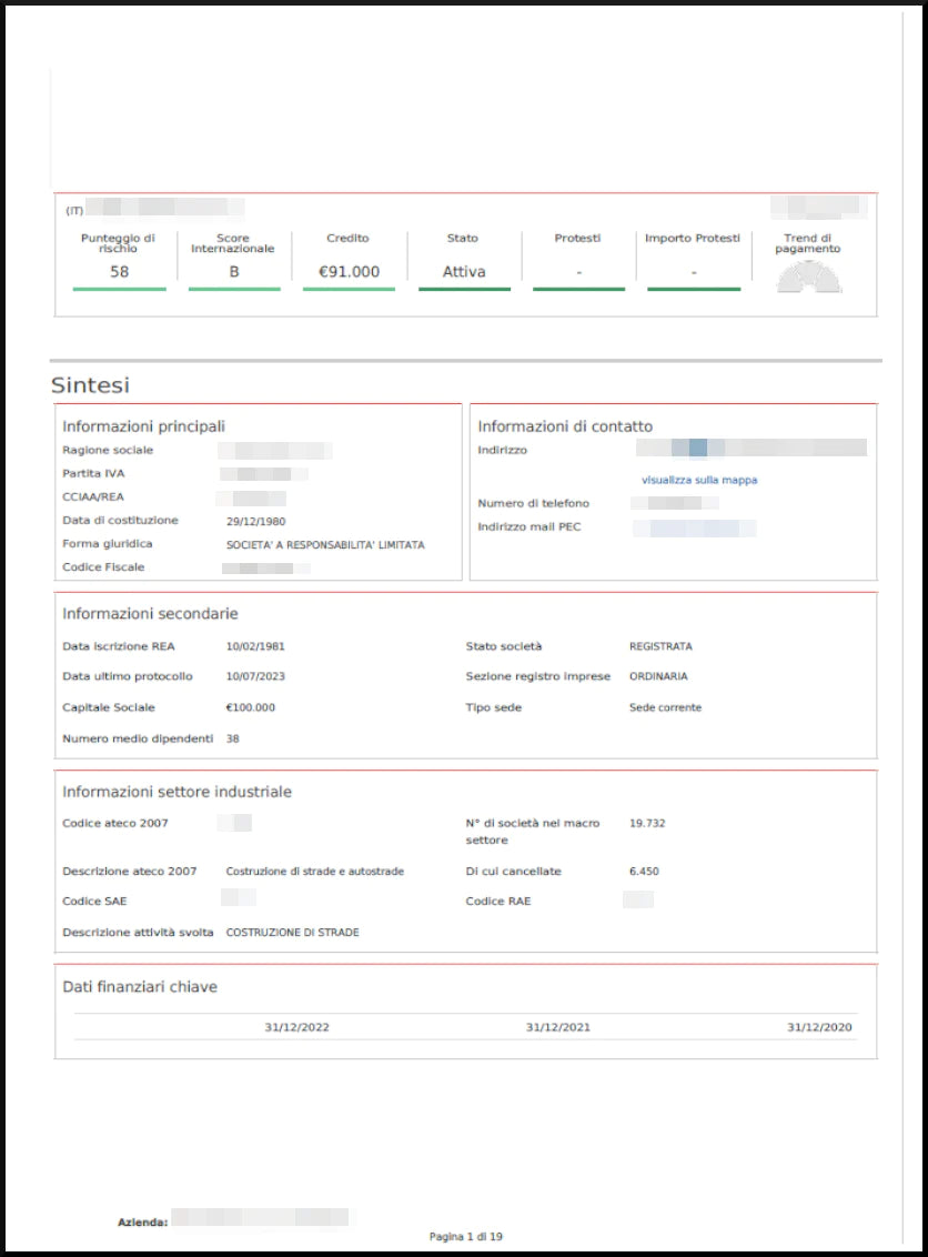 Company Report 