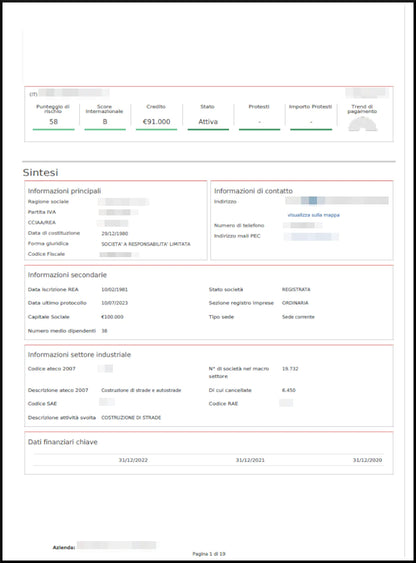 Company Report 
