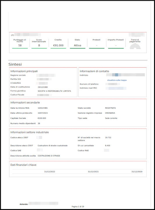 Company Report 