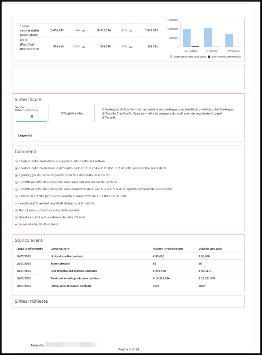 Company Report 
