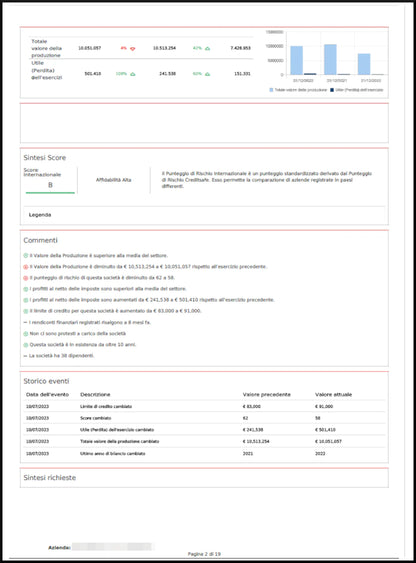 Company Report 