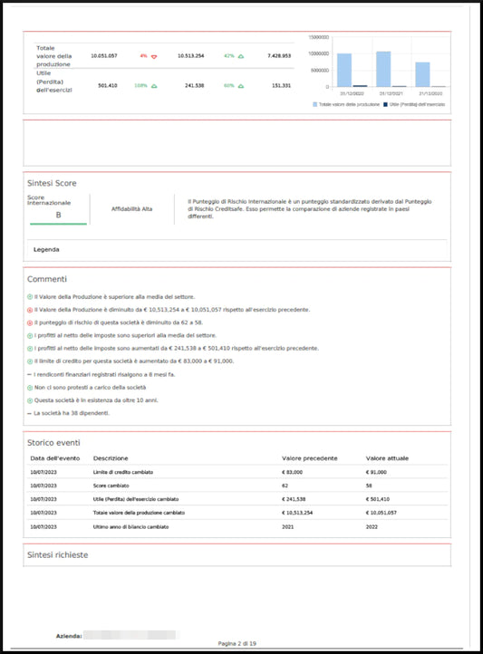 Company Report 