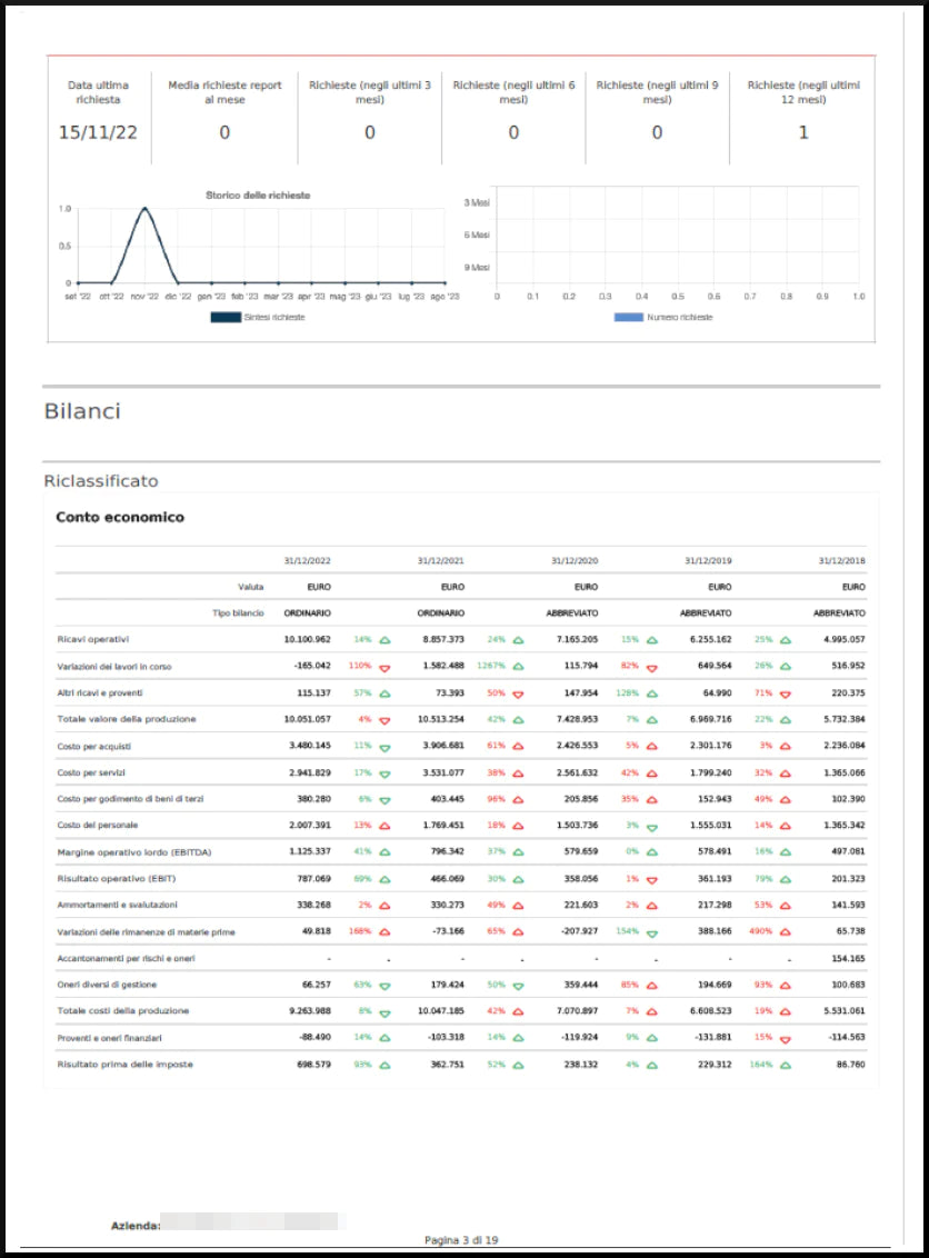 Company Report 