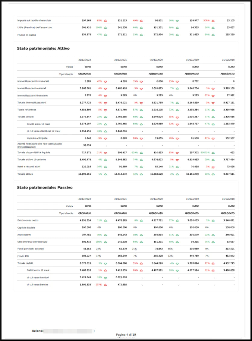 Company Report 