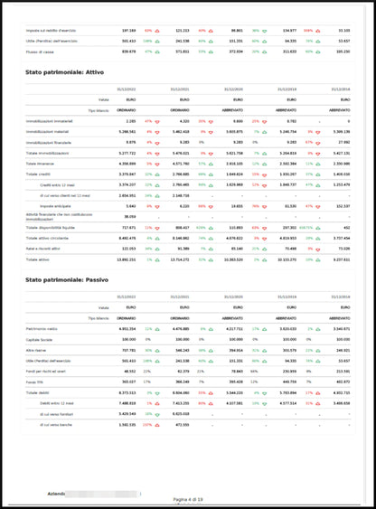 Company Report 